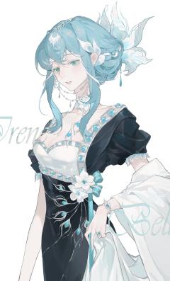 白孔雀