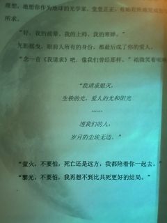 蟪蛄春秋—— 关于末日与人性的颂歌

✨你终于迟缓的爱上祂，