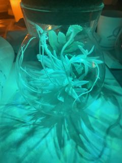 蟪蛄春秋—— 关于末日与人性的颂歌

✨你终于迟缓的爱上祂，