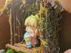 终于可以在岛上分享了