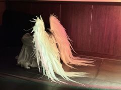🌟世间安得双全法,不负如来不负卿🌟
类型:设定/欢乐/推