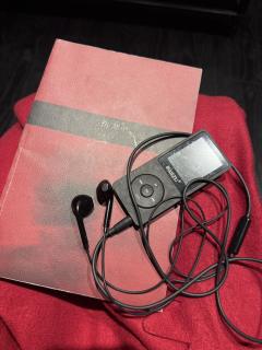 如今一切的暖,都是过往尚未消退的热,如一场成为绝症的普通伤寒