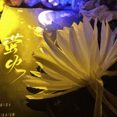 爱如雨中耽溺的蝴蝶
📚剧本类型:架空/情感/沉浸
👸人