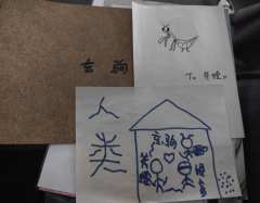 ❓❔悠南老师what can I say and how c