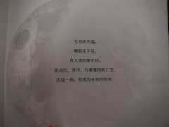 ❓❔悠南老师what can I say and how c