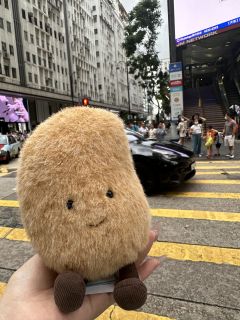 我的大宝贝子