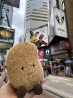 我的大宝贝子