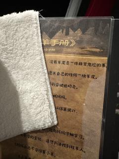 【羊舍里有几只羊？让我们来数数羊！】
———————————