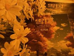 无法用言语形容有多爱《雪国》松风绿的本,救赎、暗恋、愧疚,几