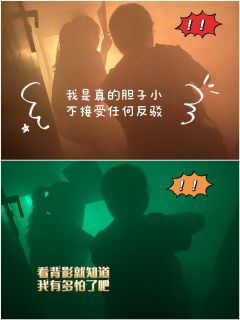 🍁综合体验7.8分🍁

📚弁言📚
1️⃣以上评分是综