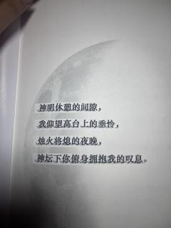 “神明休憩的间隙,我仰望高台上的垂帘,烛火将熄的夜晚,神探下