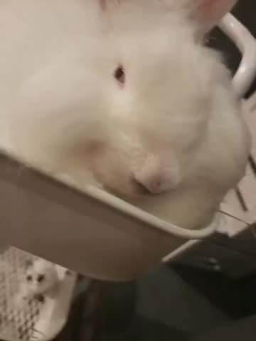 在危险边缘疯狂试探(*/ω＼*)