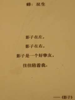 小蜂24TOP1角色,双生同辈亲情天花板!亲情战士各线狂吃,