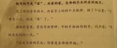 小蜂24TOP1角色,双生同辈亲情天花板!亲情战士各线狂吃,