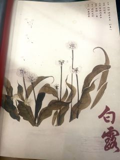 是谁都要出2了还在补课1?
😐是我们
打完原地成团坐等店