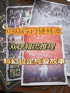 冷门小众推理本我又打一个,浪漫科幻推理故事,双逻辑并行,阅读