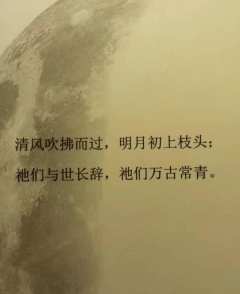 “初代史官，蜂，文明见证者”
“飞远点，再飞远点”

📕剧