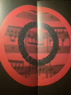 我们的爱是落叶与风，是走向死亡的宣判。是红色的曼陀罗，狂热，