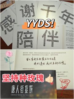 🍁综合体验8.6分🍁
📚弁言📚
1️⃣以上评分是综