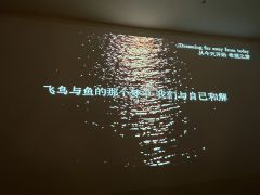 我无法控制你流逝,但我必定存在过于你的长河之中。
⌛️ 你