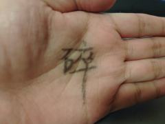 世间万般皆是命,唯独这爱,不是;南碎,我爱你
“在下东方