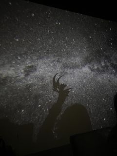 蟪蛄春秋｜我为上官天诛，历代天诛以生命吐丝结网，为蟪蛄推演未