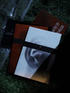 “别看它，看我。”

近期的一个余韵持续了一周的情感本
很特
