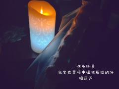 “北辰会永远守护主人,就像北极星一样”
“北辰不属于这个世界