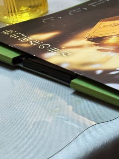 生者往往藏匿于诡计死角,为逝者祈念。
待推理展开之后,逆转