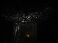 “无论短瞬还是恒长，这是我们共赴的一生”

🌈类型：情感/