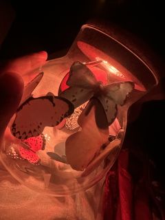 【含剧透】
周裕，下辈子别做皇子了
我只想让你为自己快乐
�