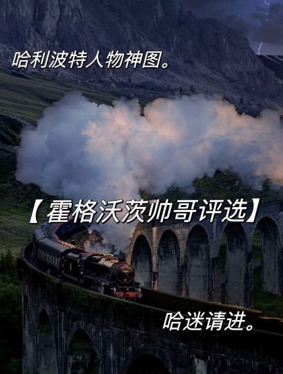 霍格沃茨人物评选。