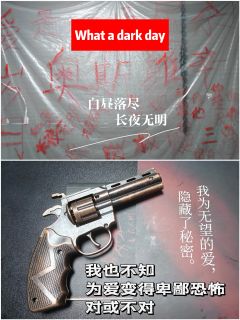 🍁综合体验7.9分🍁

📚弁言📚
1️⃣以上评分是综