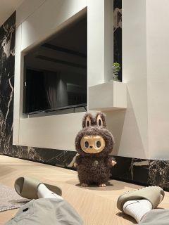 大首领来啦 真的太可爱了😍建议人手一只zimomo❗️