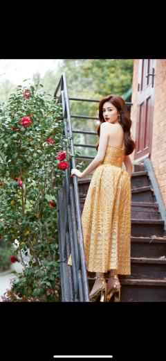 白鹿黄色系美图
 鹿茸们下次还想看什么色系