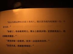 📖剧本名:流氓叙事
®️发行方:不俗发行工作室
🕵️体验