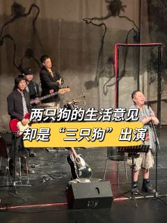 两只狗的生活意见,却是“三只狗”的演出😆
❤️推荐理由