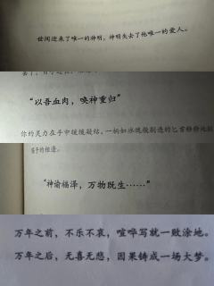 “想看我的心上人白衣金冠,想在坤华殿为他祈愿岁岁长安”
“希