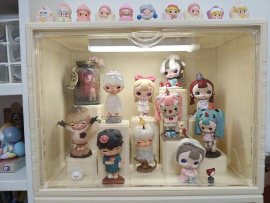 布置了一下展示盒，tinytiny 和小野！