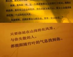 “程走柳，你厉害，你玩我，跟xx玩狗一样”

——————演