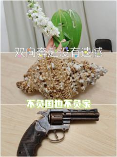 🍁综合体验8.1分🍁

📚弁言📚
1️⃣以上评分是综