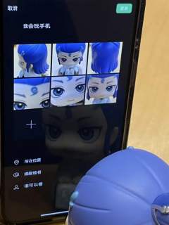 委屈～丙丙玩手机微信，只是打字有点慢！