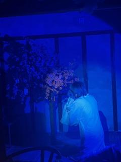 朕只学了做一个皇帝,
只会做一个皇帝,
所以也只能做一个皇帝