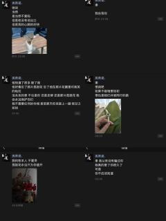 《流氓叙事》 程聿怀—一场颅内高潮的“极致拉扯”
💯💯�