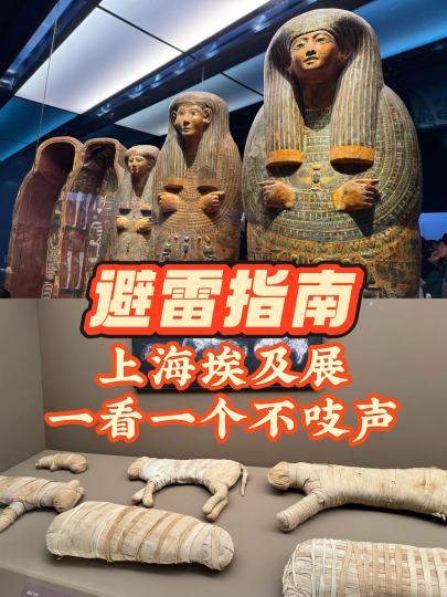 避雷指南丨上海埃及展一看一个不吱声

上海埃及展避雷指南：花120块体验《春运沉浸式观展》，展好，人多，体验差，不跟团就被排挤。
·

一进展厅就被导游问要不要来听，各种拉客。还有耳机讲解，AI眼镜、