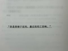 【死亡回响】近期最难，量大管饱，集大成之作，但核诡似曾相识，