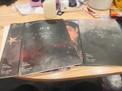 我在枯败的诗歌里与文字交锋,
写大雨倾盆,写迟日黄昏,
写落