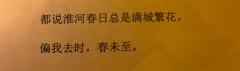 “都说淮河春日总是满城繁花。偏我去时，春未至。”

体验角色