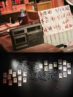 啦啦啦~终于安排上了大真探赵赶鹅
斗胆选择了头排的互动区
没