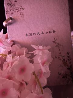姐宝女的天堂??江湖题材古风情感本,姐宝女的天菜《乱春》ta
